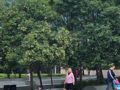 -江湾体育中心游泳馆
