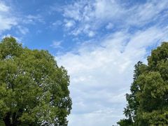 -上海海湾国家森林公园