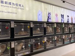 -翊宠yipet猫狗购宠庄园犬舍•猫舍