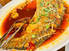 -蒙古大营(朝阳公园店)
