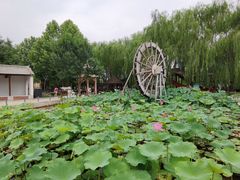 -河北村民俗体验园