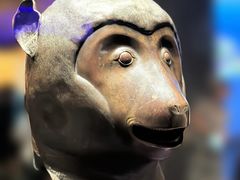 -广西壮族自治区博物馆