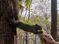 -昆明动物园