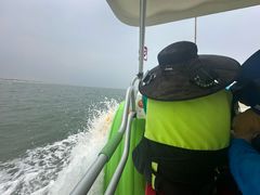 -日照海滨国家森林公园