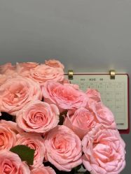 -美肤盾祛痘·问题肌头疗管理中心