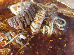 -高记什邡肖麻辣(成都店)
