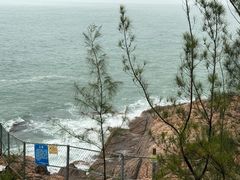 -广东惠东海龟国家级自然保护区