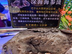 -SEA西雅图海鲜自助餐厅(海乐世界店)