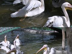 -水上乐园·欢乐世界