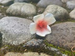 -宁波五龙潭景区