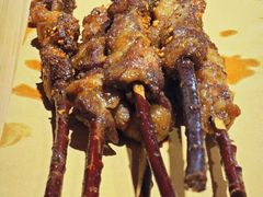 巴图的红柳大串-蒙艾里民族传统菜蒙餐