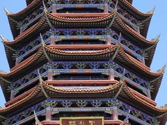 -铁山坪森林公园