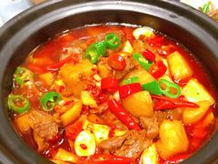 牛腩烧土豆-忆江南·临江鱼馆