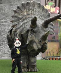 -恐龙探索乐园(磁器口店)