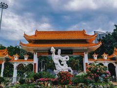 -深圳仙湖植物园