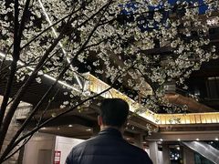 -渝半城经典川粤菜(重庆天地店)