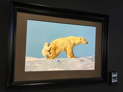 -罗红摄影艺术馆