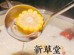 -新草堂锅物料理(泉城路店)