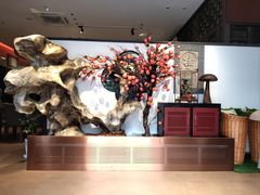 -福照楼汽锅鸡·云南菜(护国路店)