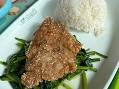 鸡排饭-上海野生动物园老虎餐厅