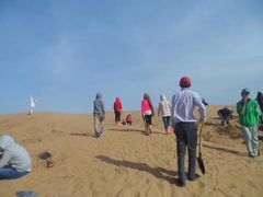 -恩格贝生态旅游区