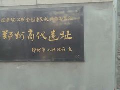 -紫荆山公园