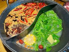 -阳阳老火锅(小南门店)