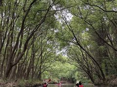 -动邦皮划艇·桨板·独木舟·团建户外运动俱乐部