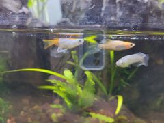 -木子陶艺(春熙路店)