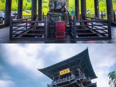 -大唐贡茶院