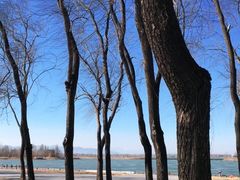 -野鸭湖国家湿地公园