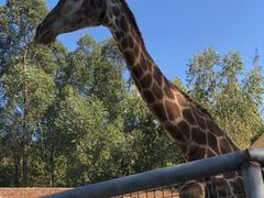 -泉州海丝野生动物世界