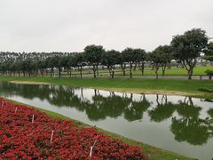 -迪茵湖田家舍生态农场