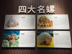 -贝壳王国博物馆