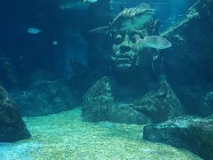 -暹罗海洋世界