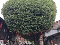 -三坊七巷历史文化街区