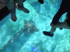 -暹罗海洋世界