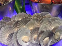 -Social 秀西餐厅-长沙瑞吉酒店(运达店)