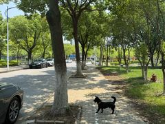 -江南大学(蠡湖校区)