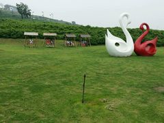 android_upload_pic-密云玫瑰情园