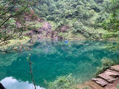 -大奇山国家森林公园
