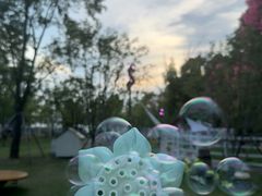-金鸡湖桃花岛