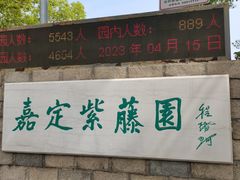 -嘉定紫藤园