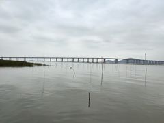 -蛇蟠岛