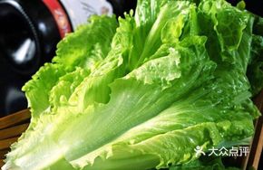 【Wealth and Prosperity】Endive (Unlimited Refill)