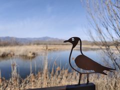 -野鸭湖国家湿地公园
