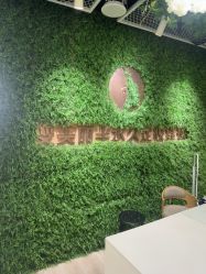 -变美丽半永久纹眉连锁·机器野生眉•洗眉