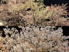 -华中科技大学光谷体育馆