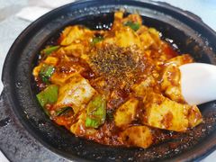 -陈麻婆豆腐总店