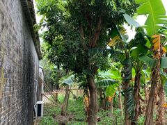 -御霞苑泥烩鸡休闲农庄